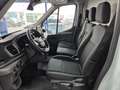 Ford Transit Kasten 350 L3 H3 Trend- 360° Kamera -4 Jahre G. Weiß - thumbnail 4