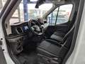 Ford Transit Kasten 350 L3 H3 Trend- 360° Kamera -4 Jahre G. Weiß - thumbnail 3