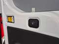Ford Transit Kasten 350 L3 H3 Trend- 360° Kamera -4 Jahre G. Weiß - thumbnail 19