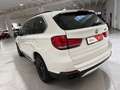 BMW X5 X5 F15 xdrive25d Experience 231cv auto Weiß - thumbnail 6