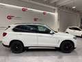 BMW X5 X5 F15 xdrive25d Experience 231cv auto Weiß - thumbnail 7