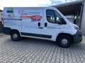 Fiat Ducato Ducato L1H1 - thumbnail 2