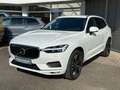Volvo XC60 Momentum Pro*Standh*IntelliSafePro*AHK* Weiß - thumbnail 2