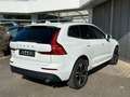 Volvo XC60 Momentum Pro*Standh*IntelliSafePro*AHK* Weiß - thumbnail 5