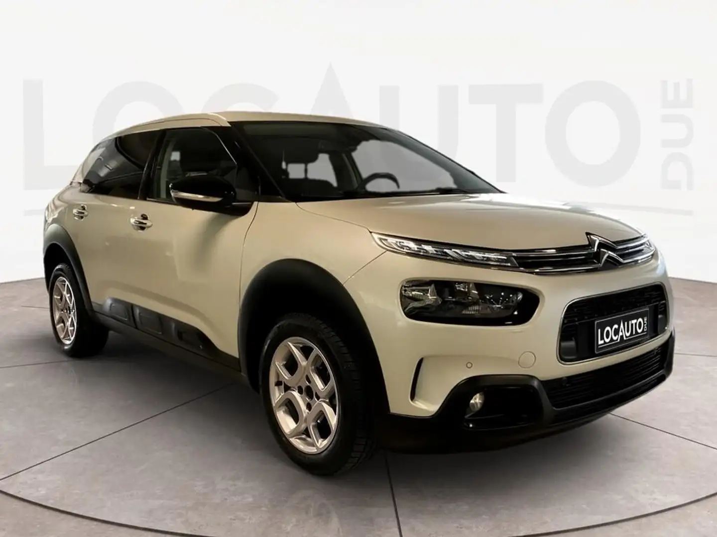 Citroen C4 Cactus 1.5 bluehdi Shine s&s 100cv Bianco - 2
