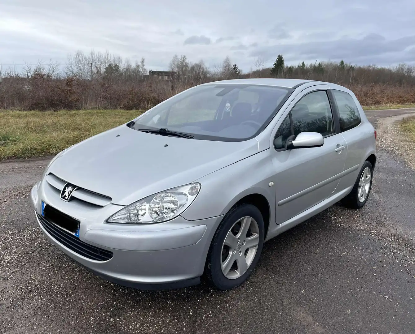 Peugeot 307 307 2.0 HDi - 110 XS Gris - 2
