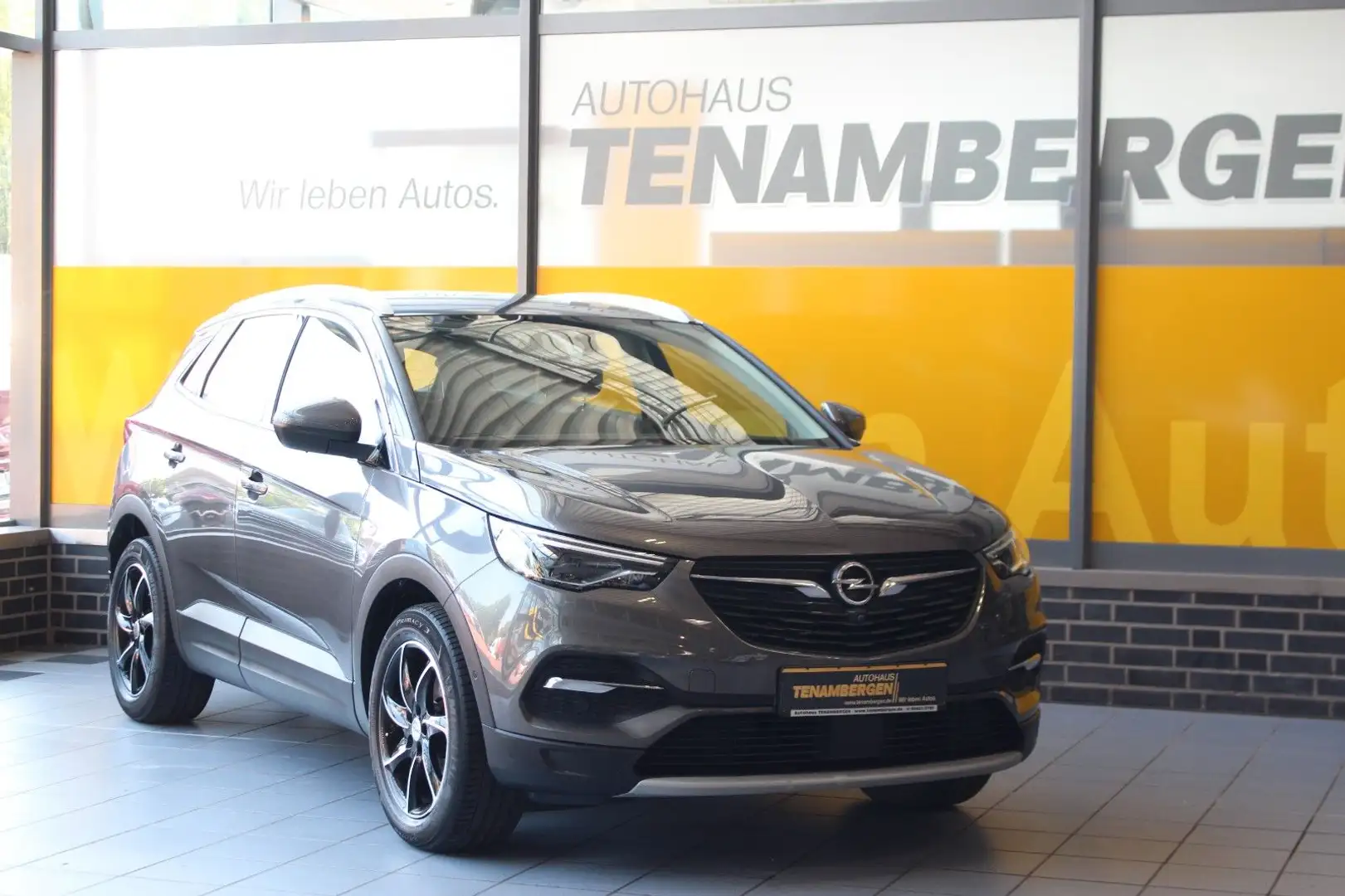 Opel Grandland X Innovation Kamera AHK Navi LED Grau - 2