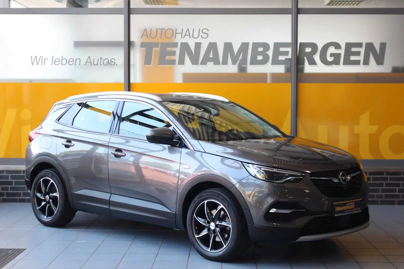 Opel Grandland X Innovation Kamera AHK Navi LED Grau - 1