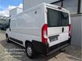Fiat Ducato 120 2,3 L2H1 AHK Standheizung Kamera GAS Blanc - thumbnail 6