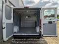 Fiat Ducato 120 2,3 L2H1 AHK Standheizung Kamera GAS Blanc - thumbnail 8