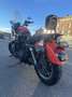 Harley-Davidson XL 883 Orange - thumbnail 4