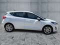 Ford Fiesta 1.0 EcoBoost TITANIUM LED+NAV+SHZ+GRA+PDC Bianco - thumbnail 7