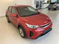Kia Stonic Titan-Ausstattung  84PS.4Zylinder Rot - thumbnail 2