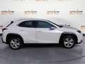 Lexus UX 250h UX Hybrid Business Bianco - thumbnail 4