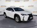 Lexus UX 250h UX Hybrid Business Bianco - thumbnail 1