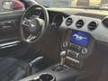 Ford Mustang Fastback 2.3 EcoBoost aut. Rosso - thumbnail 14