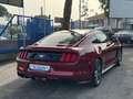 Ford Mustang Fastback 2.3 EcoBoost aut. Rosso - thumbnail 4