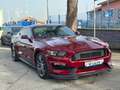 Ford Mustang Fastback 2.3 EcoBoost aut. Rosso - thumbnail 3
