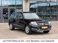 Mercedes-Benz GLK 220 *CDI*4x4*AHK*SD*Panorama*OffroadPro*TOP! Schwarz - thumbnail 4