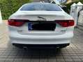 Jaguar XF XF 30d Aut. Prestige Weiß - thumbnail 4