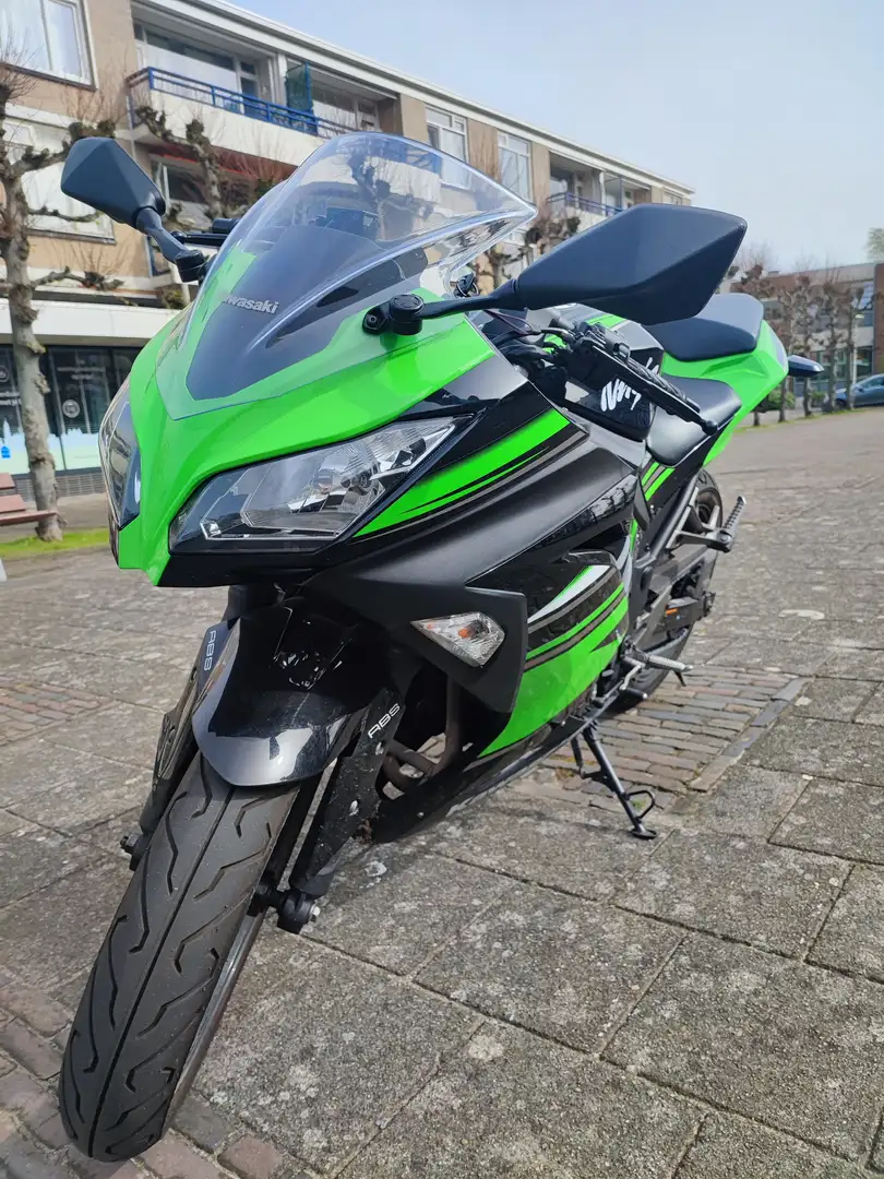 Kawasaki Ninja 300 Green - 1