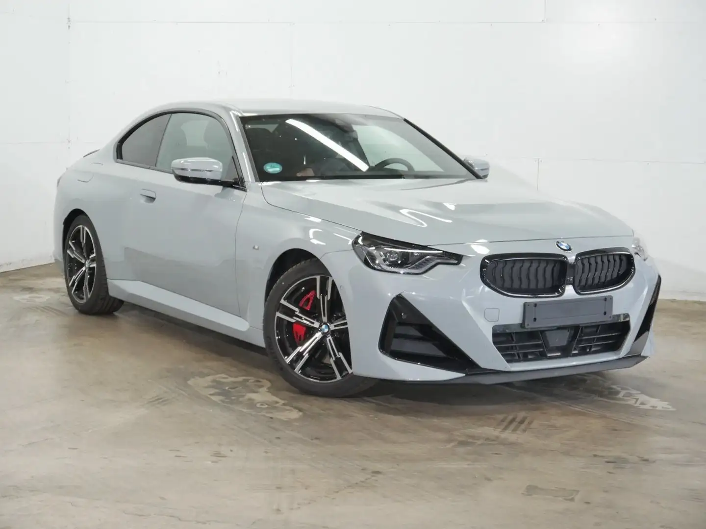 BMW 230 i Sitzverstellung elektrisch mit Memory | AHK | 18 Grey - 2