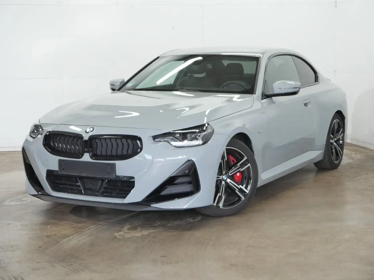 BMW 230 i Sitzverstellung elektrisch mit Memory | AHK | 18 Grey - 1