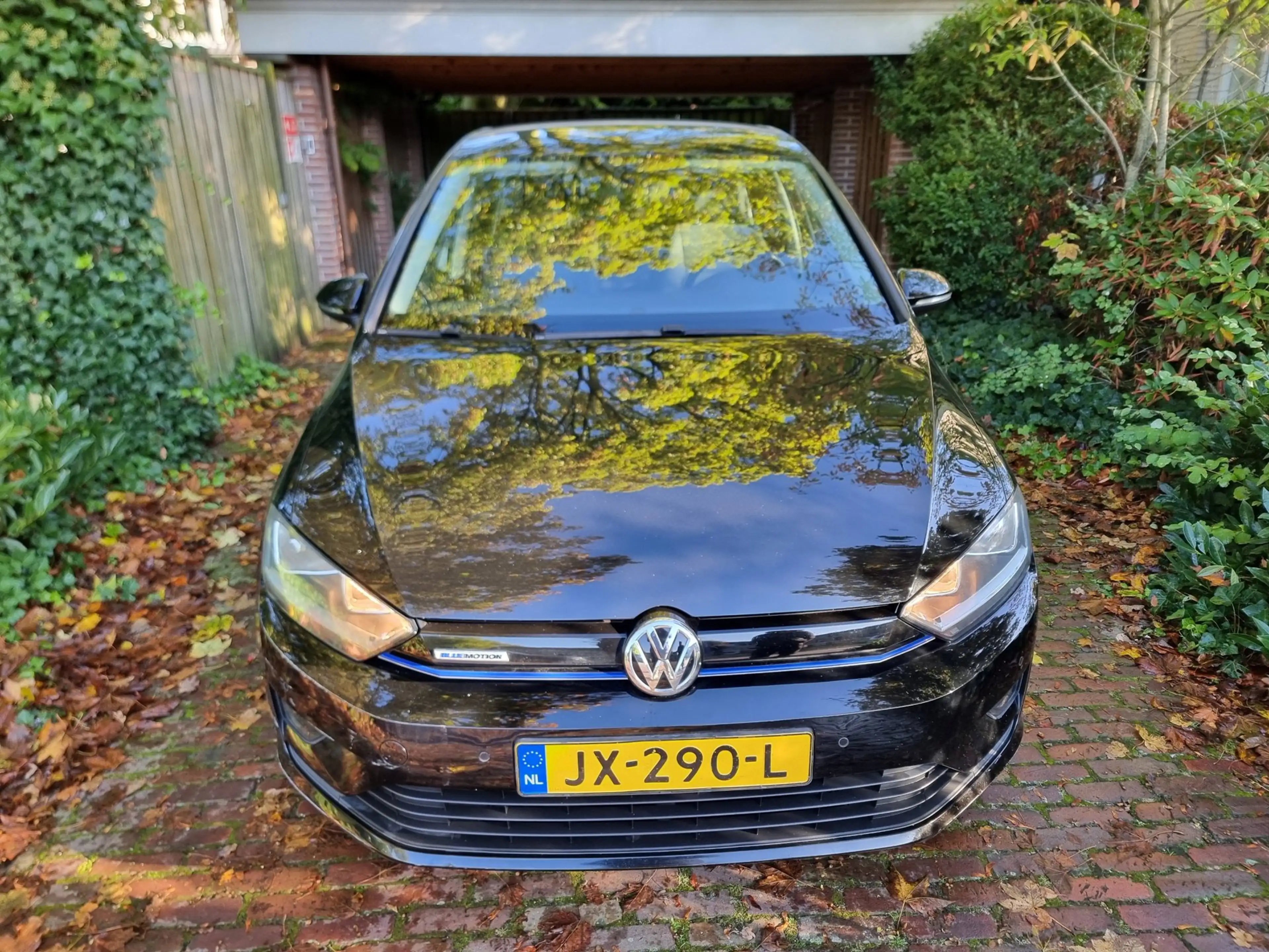 Volkswagen Golf Sportsvan 1.0 TSI Comfortline 116PK EXPORT ONLY ! — photo 6