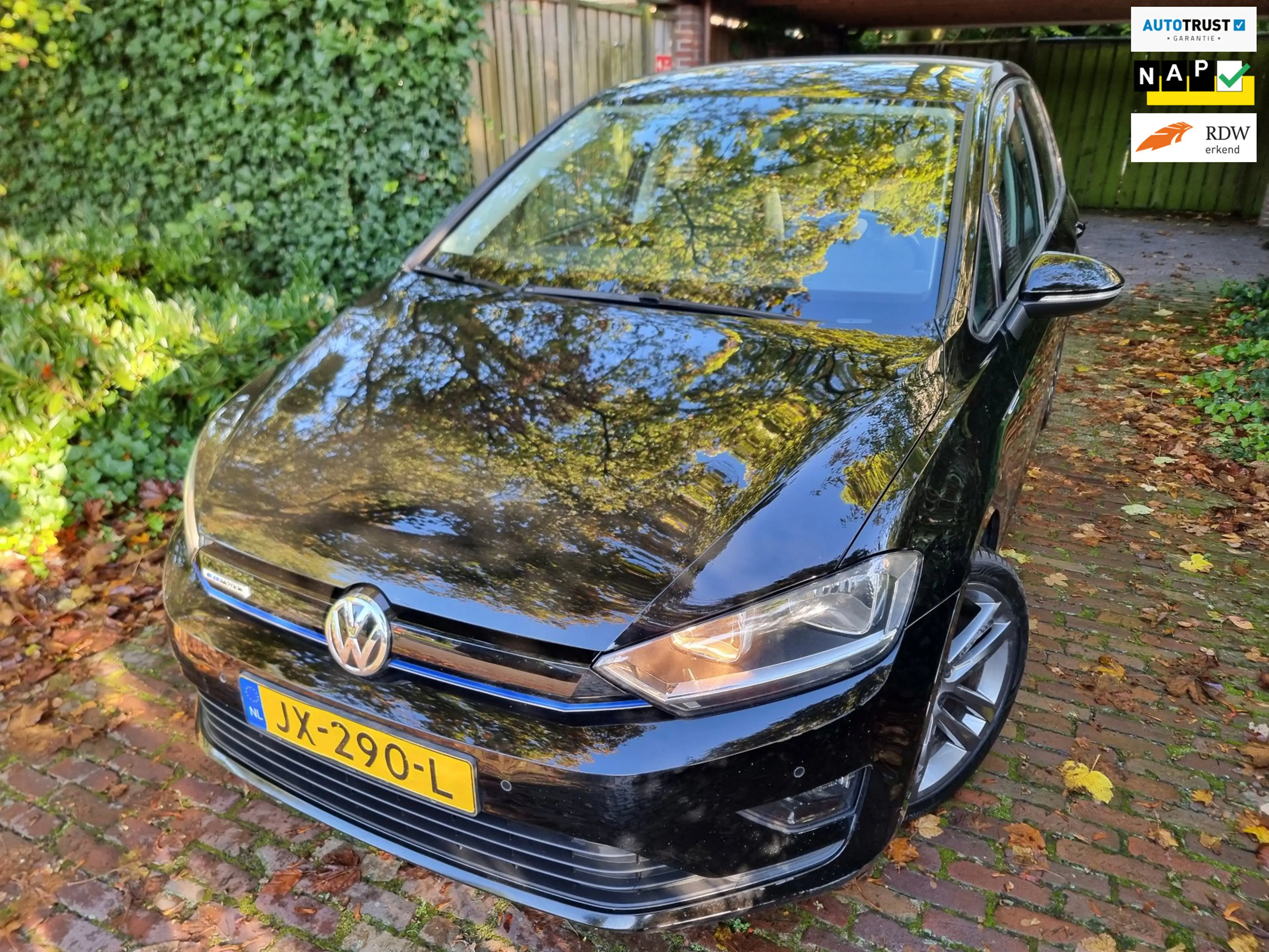 Volkswagen Golf Sportsvan 1.0 TSI Comfortline 116PK EXPORT ONLY !