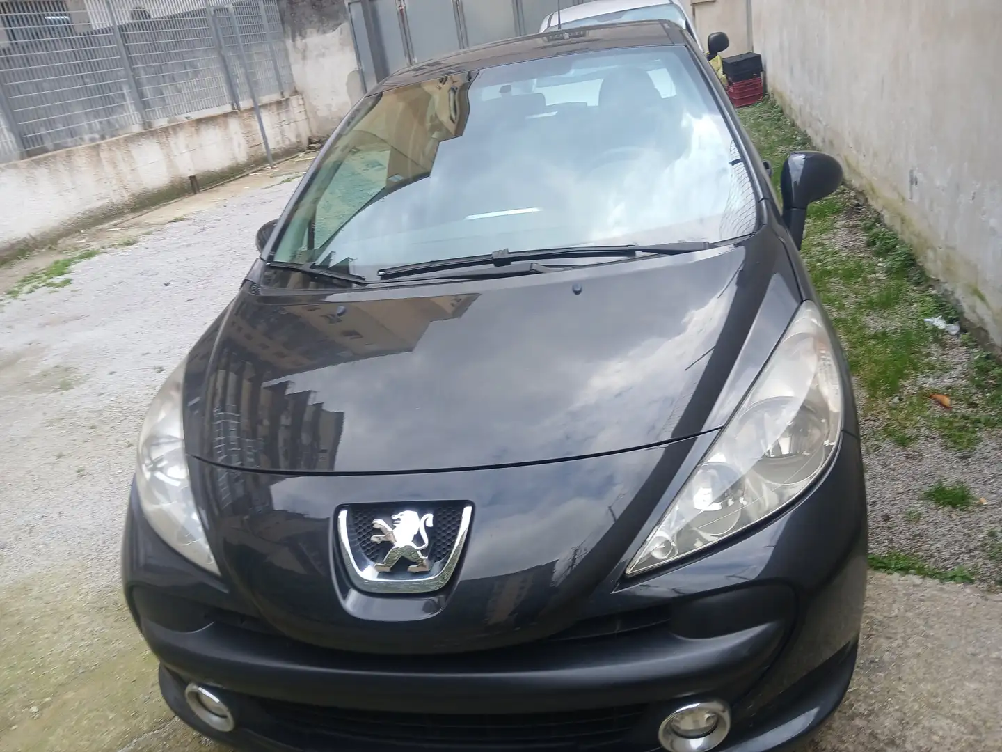 Citroen Negru - 1