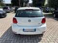 Volkswagen Polo Polo V 2014 5p 1.2 tsi bm Fresh - thumbnail 3
