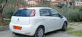 Fiat Punto 5p 1.3 mjt II 16v Lounge eco s&s 85cv E5+ Bianco - thumbnail 1