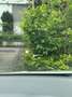 BMW 220 2er Gran Coupe 220i Gran Coupe Aut. M Sport Weiß - thumbnail 19
