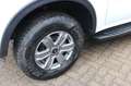 Ford Ranger XLT 4x4 DOKA Hardtop AHK Winter Paket OP2 Weiß - thumbnail 10