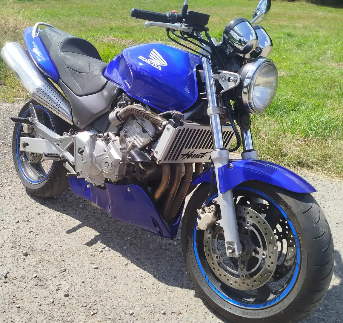 Honda Hornet Blauw - 1