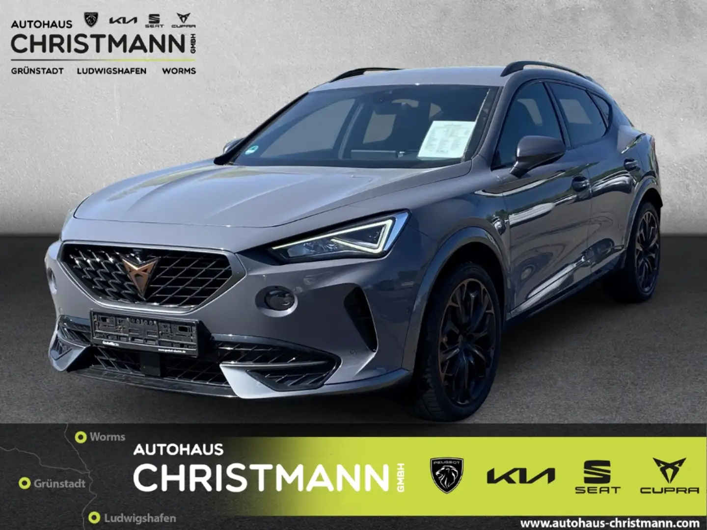 CUPRA Formentor VZ 4Drive 2.0 TSI EU6d AD Navi Leder Digitales Coc Gris - 1