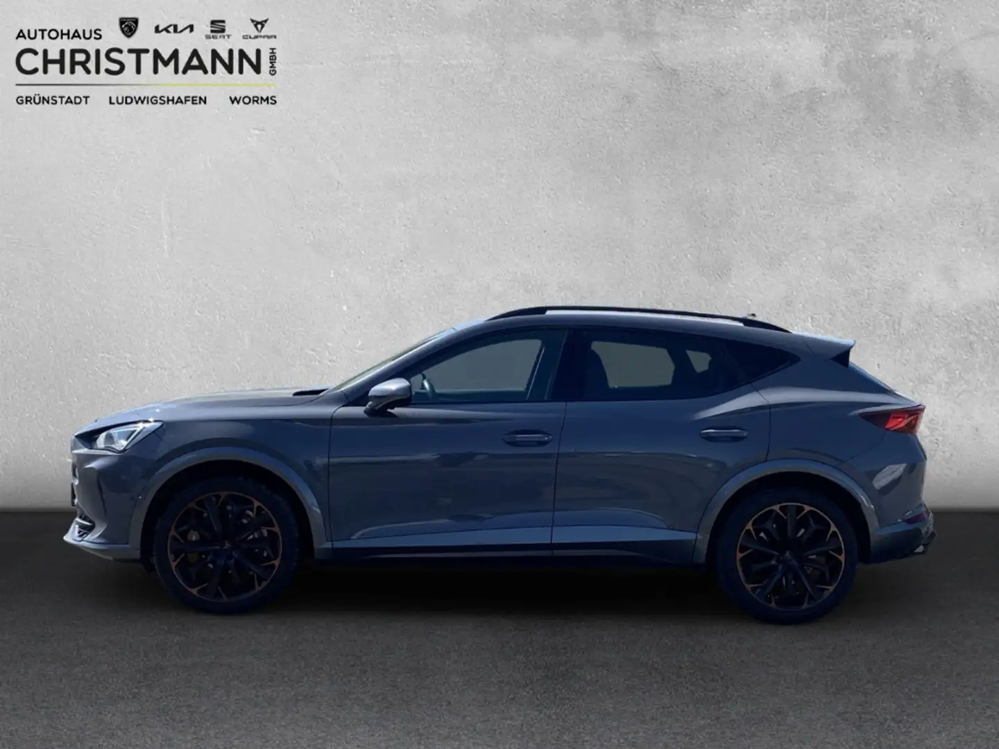 CUPRA Formentor VZ 4Drive 2.0 TSI EU6d AD Navi Leder Digitales Coc Gris - 2