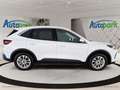 Ford Kuga Titanium FHEV Hybrid AWD Weiß - thumbnail 5
