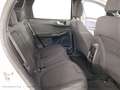 Ford Kuga Titanium FHEV Hybrid AWD Weiß - thumbnail 19