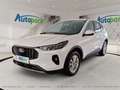 Ford Kuga Titanium FHEV Hybrid AWD Weiß - thumbnail 1