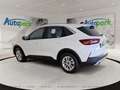 Ford Kuga Titanium FHEV Hybrid AWD Weiß - thumbnail 8