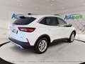 Ford Kuga Titanium FHEV Hybrid AWD Weiß - thumbnail 6