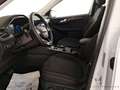 Ford Kuga Titanium FHEV Hybrid AWD Weiß - thumbnail 14