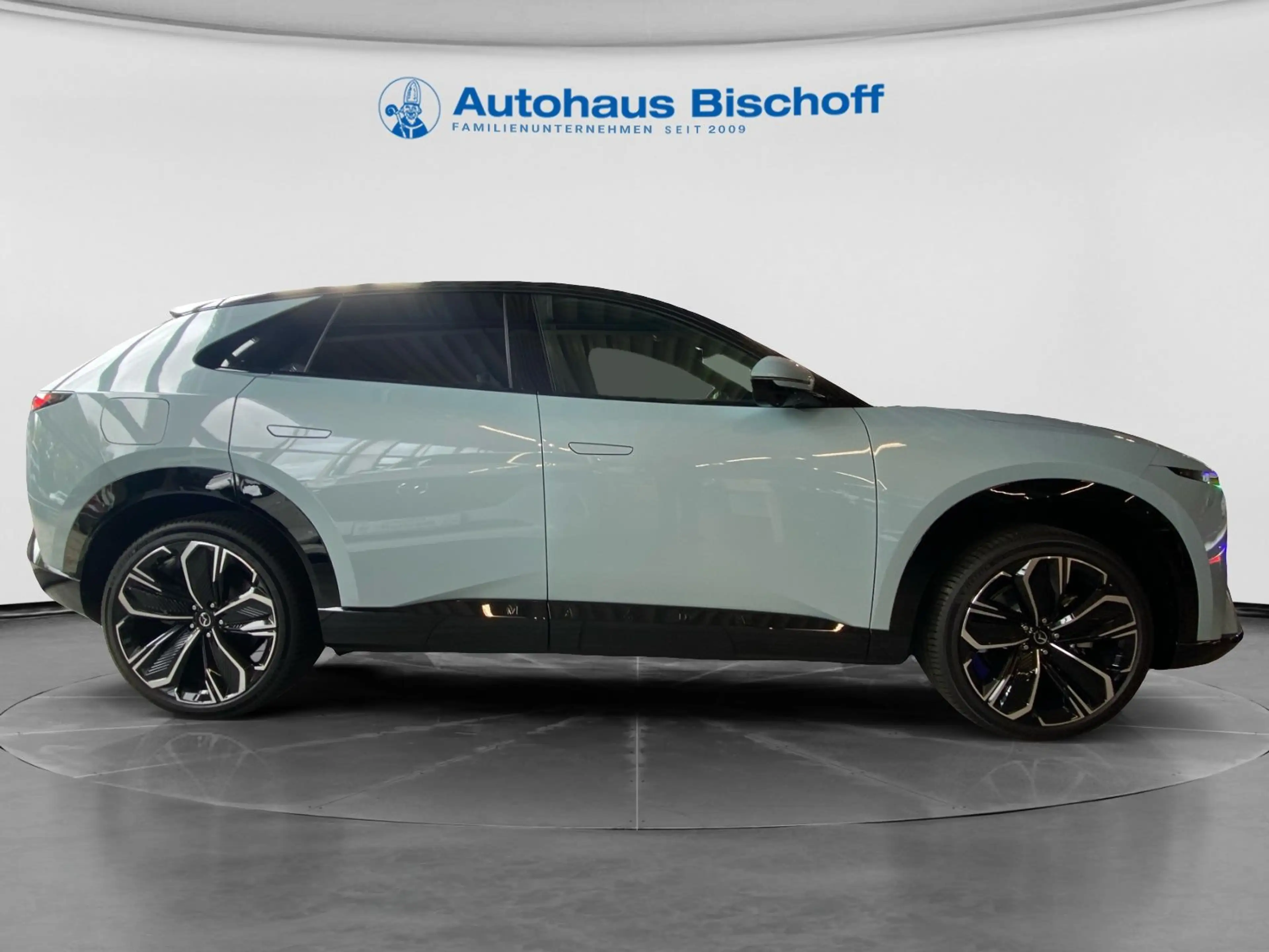 Mazda CX-6e 258PS EV Takumi — photo 5