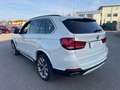 BMW X5 sDrive25d Luxury Bianco - thumbnail 15