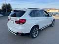 BMW X5 sDrive25d Luxury Bianco - thumbnail 4