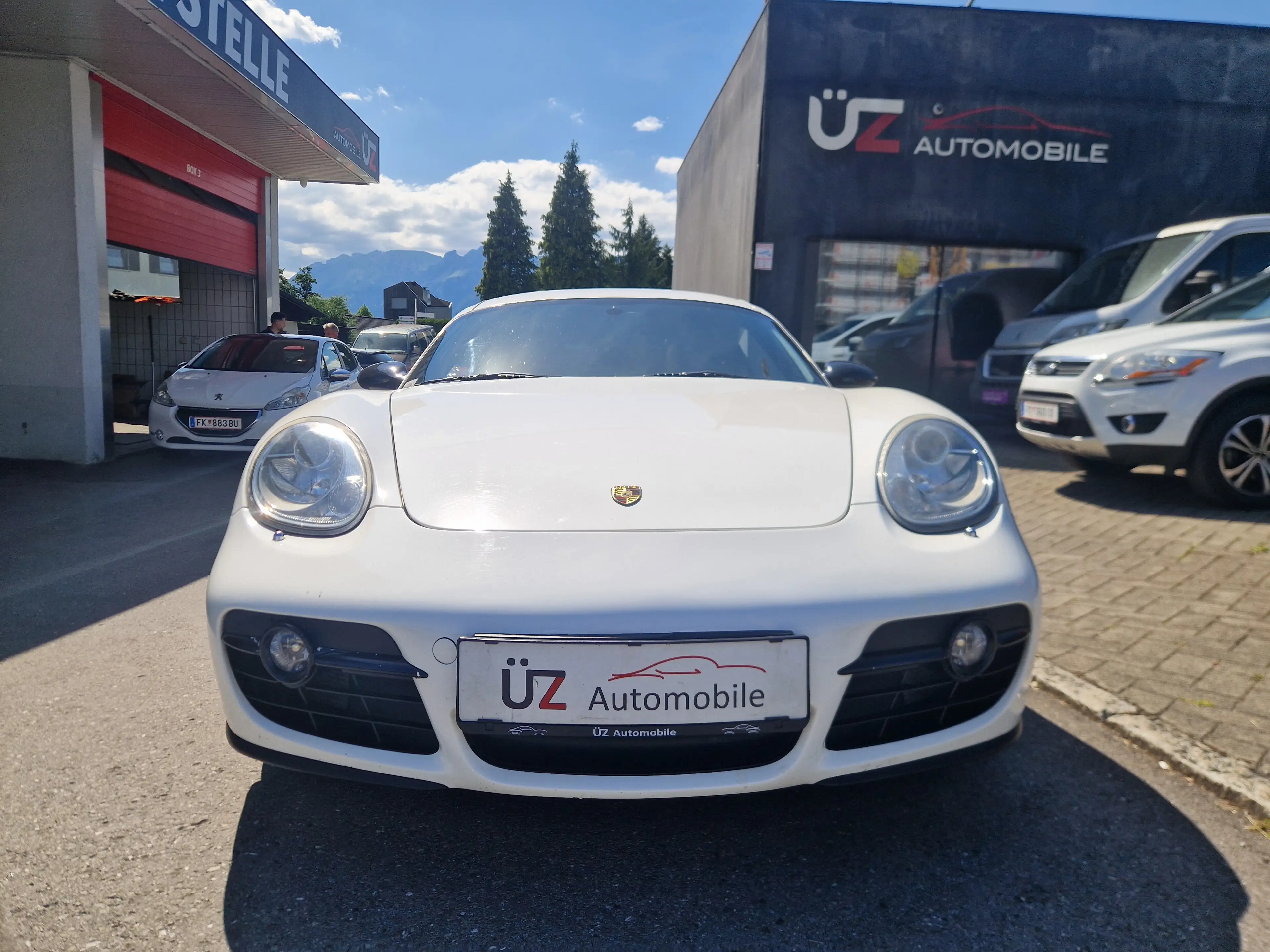 Porsche Cayman Basis — photo 3