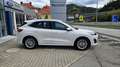 Ford Kuga 2,5 Duratec PHEV Vignale Aut. Weiß - thumbnail 8
