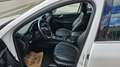 Ford Kuga 2,5 Duratec PHEV Vignale Aut. Weiß - thumbnail 10