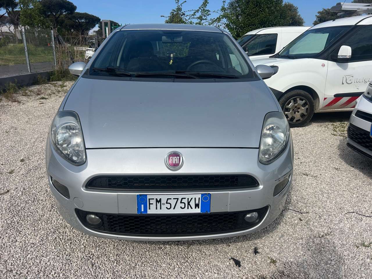 Fiat Punto Punto 1.2 8V 5 porte Street